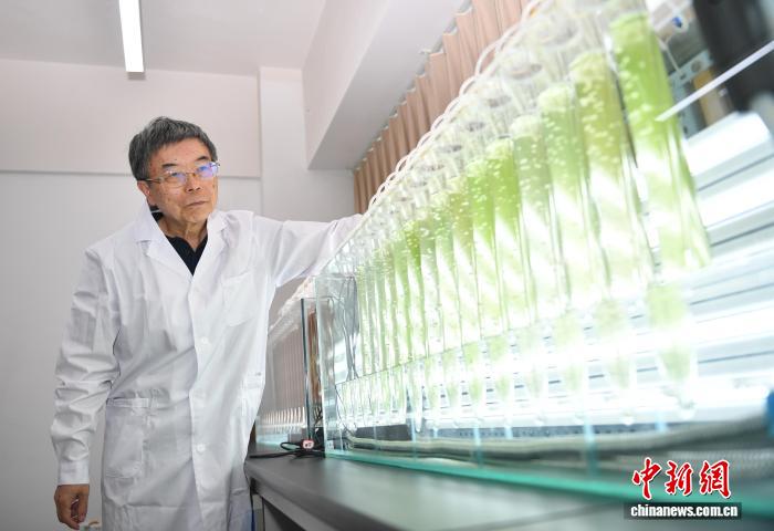 半岛体育